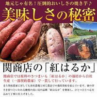 茨城県産 紅はるか 冷凍焼き芋 4.0kg(500g×8袋)