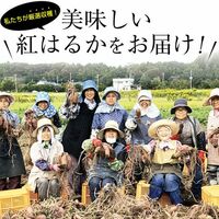 茨城県産 紅はるか 冷凍焼き芋 4.0kg(500g×8袋)