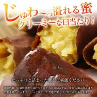 茨城県産 紅はるか 冷凍焼き芋 1kg(500g×2袋)