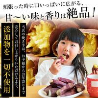 茨城県産 紅はるか 冷凍焼き芋 1kg(500g×2袋)