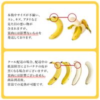 【業務用】 訳あり甘熟王バナナ 約10kg