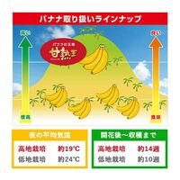 【業務用】 訳あり甘熟王バナナ 約5kg