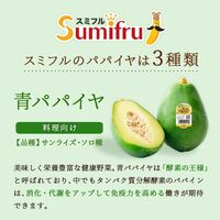 青パパイヤ 10玉