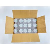 【倉入れ】からだに優しいイヌリンはちみつ 500ｇ×15本