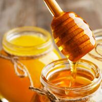 【倉入れ】アカシアハニー L×12個