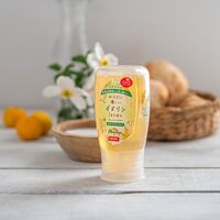 からだに優しいイヌリンはちみつ 300ｇ×3本 / アカシアハニー 蜂蜜 ギフト