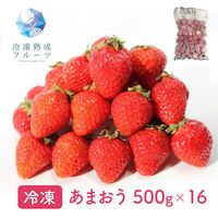 あまおう 500g×16パック / 冷凍フルーツ デザート 苺 いちご イチゴ