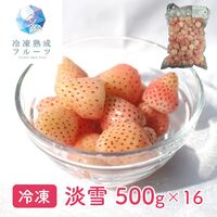 淡雪 500g×16パック / 冷凍フルーツ デザート 苺 いちご イチゴ