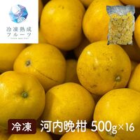 河内晩柑 500g×16パック / 冷凍フルーツ デザート みかん ミカン オレンジ