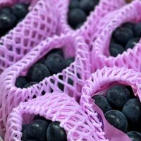 ナガノパープル 500gパック / 冷凍フルーツ デザート 葡萄 ぶどう ブドウ