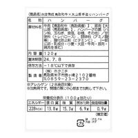 【上代厳守】 ＜大山物語＞氷温熟成 鳥取和牛×大山豚手造りハンバーグ（120ｇ×6）