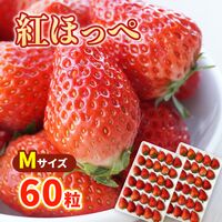 【期間限定】紅ほっぺ Mサイズ(60粒) ≪お届け期間：2025/1/7～2025/6/30≫