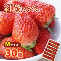 【期間限定】紅ほっぺ Mサイズ(30粒) ≪お届け期間：2025/1/7～2025/6/30≫
