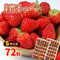 【期間限定】紅ほっぺ Sサイズ(72粒)  ≪お届け期間：2025/1/7～2025/6/30≫