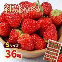 【期間限定】紅ほっぺ Sサイズ(36粒)  ≪お届け期間：2025/1/7～2025/6/30≫