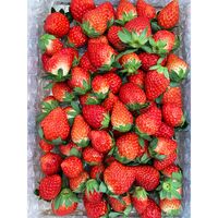 【期間限定】紅ほっぺ MIX 1kg (サイズ、形いろいろ）≪お届け期間：2025/12/4～2026/6/30≫