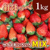 紅ほっぺ MIX (サイズ、形いろいろ）