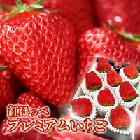 紅ほっぺ プレミアムいちご (特大サイズ）