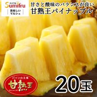 【業務用】パイナップル 小玉 20玉 約14kg 甘熟王パイン / 送料無料 フルーツ 果物