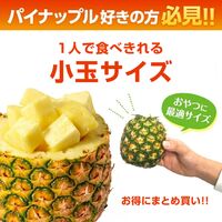 【業務用】パイナップル 小玉 20玉 約14kg 甘熟王パイン / 送料無料 フルーツ 果物