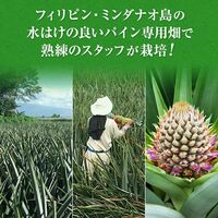 【業務用】パイナップル 小玉 20玉 約14kg 甘熟王パイン / 送料無料 フルーツ 果物