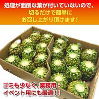 【業務用】パイナップル 小玉 7玉 約5kg 甘熟王パイン / 送料無料 フルーツ 果物