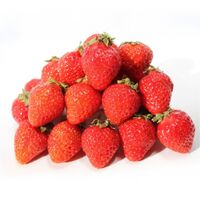 あまおう 500g×2パック / 冷凍フルーツ デザート 苺 いちご イチゴ