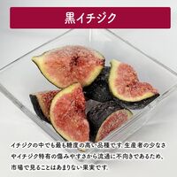 国産フルーツ 5種のアソートボックス 450g / 冷凍フルーツ ギフト デザート