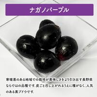 国産フルーツ 5種のアソートボックス 450g / 冷凍フルーツ ギフト デザート