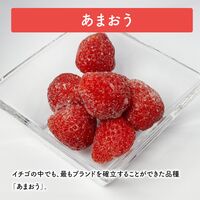 国産フルーツ 5種のアソートボックス 450g / 冷凍フルーツ ギフト デザート