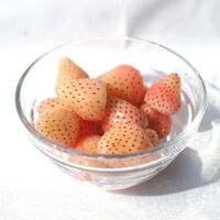 淡雪 500g×2パック / 冷凍フルーツ デザート 苺 いちご イチゴ