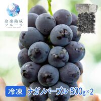 ナガノパープル 500g×2パック / 冷凍フルーツ デザート 葡萄 ぶどう ブドウ