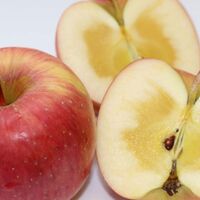 国産リンゴ 500g×2パック / 冷凍フルーツ デザート りんご
