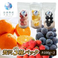 国産冷凍フルーツ 贅沢3種パック / ギフト デザート 国産