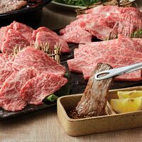 松阪牛焼肉食べ比べセット480g(ロース、カルビ、もも、バラ 各120g) / 牛肉 国産 送料無料 ギフト