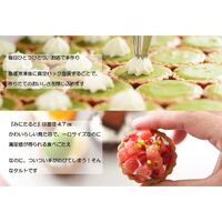 【冬バージョン】ねこみにタルトセット 9個入（期間限定：毎年10月1日～3月31日まで） / 送料無料 タルト ケーキ スイーツ ギフト プレゼント