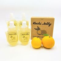 【倉入れ】高知 Kochi jelly(小夏ゼリー)4個入 箱入（ケース入数：12, ロット：1）