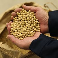 【倉入れ】広島 「寺岡有機醸造」 寺岡家の有機醤油・調味料詰合せ（ケース入数：8, ロット：1）