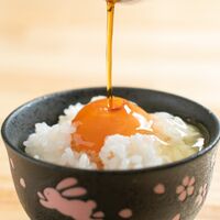 【倉入れ】広島 「寺岡有機醸造」 寺岡家のたまごにかけるお醤油300ml化粧箱入り（ケース入数：20, ロット：1）