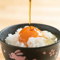 【倉入れ】広島 「寺岡有機醸造」 寺岡家のたまごにかけるお醤油（ケース入数：12, ロット：3）