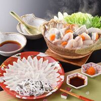 「関とら本店」 ふく刺身とふくちりセット （真ふぐ霜降り刺身45g、とらふぐ皮20g、ふぐちり200g） / ふく ふぐ フグ てっさ てっちり 送料無料