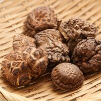 東京・日本橋 「にんべん」 椎茸 230g / 国産 しいたけ どんこ 送料無料