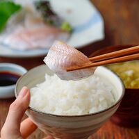 冷凍小鯛ささ漬大樽 2個入 / 国産 セット 送料無料