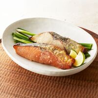 鳥取 「山陰大松」 氷温熟成 西京漬けギフトセット 8切 / 送料無料