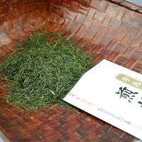 宇治煎茶 爽緑 70g×3 / 抹茶 お茶 緑茶 送料無料
