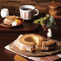 【倉入れ】「ミカド珈琲」 コーヒーバウム（ケース入数：24, ロット：2）