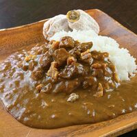 【倉入れ】長野 「お肉屋さんのこだわり」 みなみ信州柿カレー（ケース入数：40 , ロット：1）
