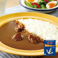 【倉入れ】神奈川 よこすか海軍カレーネイビーブルー2食入（ケース入数：20 , ロット：2）