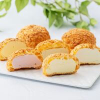 「銀座千疋屋」 銀座プレミアムシューアイス / ギフト 送料無料