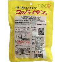 【倉入れ】スッパイマンたねぬき梅キャンディー（ケース入数：30, ロット：2）